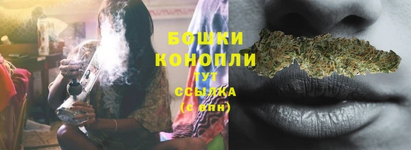 стаф Майский