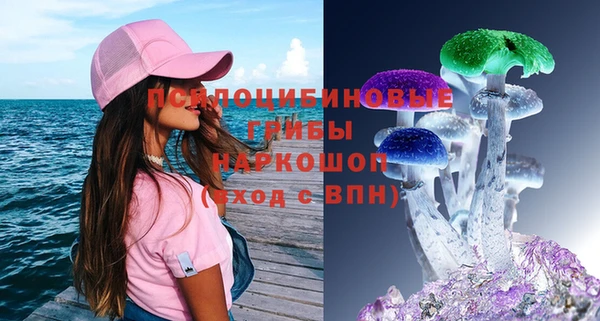 стаф Майский