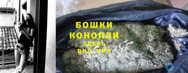 прущие грибы Артём