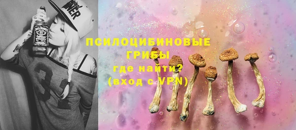 стаф Майский