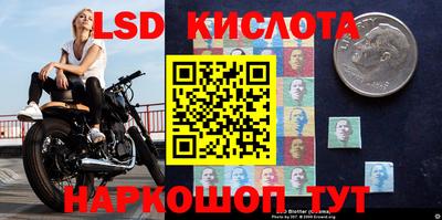 скорость mdpv Гатчина