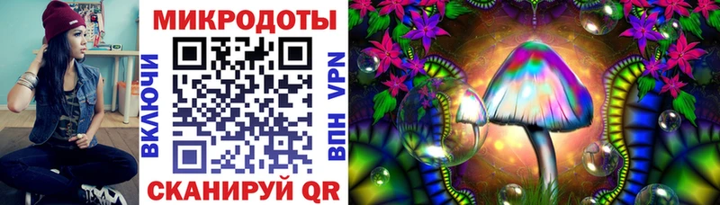 Галлюциногенные грибы Psilocybine cubensis  купить  цена  Стерлитамак 