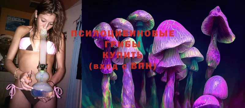 Псилоцибиновые грибы Cubensis  KRAKEN зеркало  Стерлитамак  как найти  