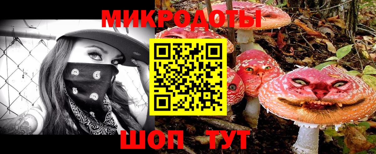 Псилоцибиновые грибы Psilocybine cubensis Стерлитамак