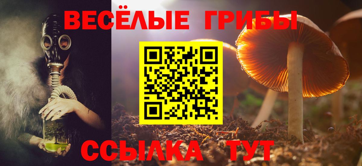 Псилоцибиновые грибы ЛСД  Вход с VPN  Псилоцибиновые грибы Psilocybine cubensis  Стерлитамак 