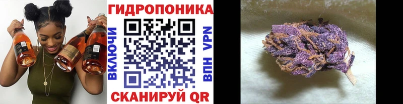 Каннабис White Widow  даркнет состав  Стерлитамак 